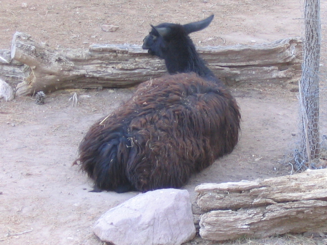 618x457 pixels (198K)